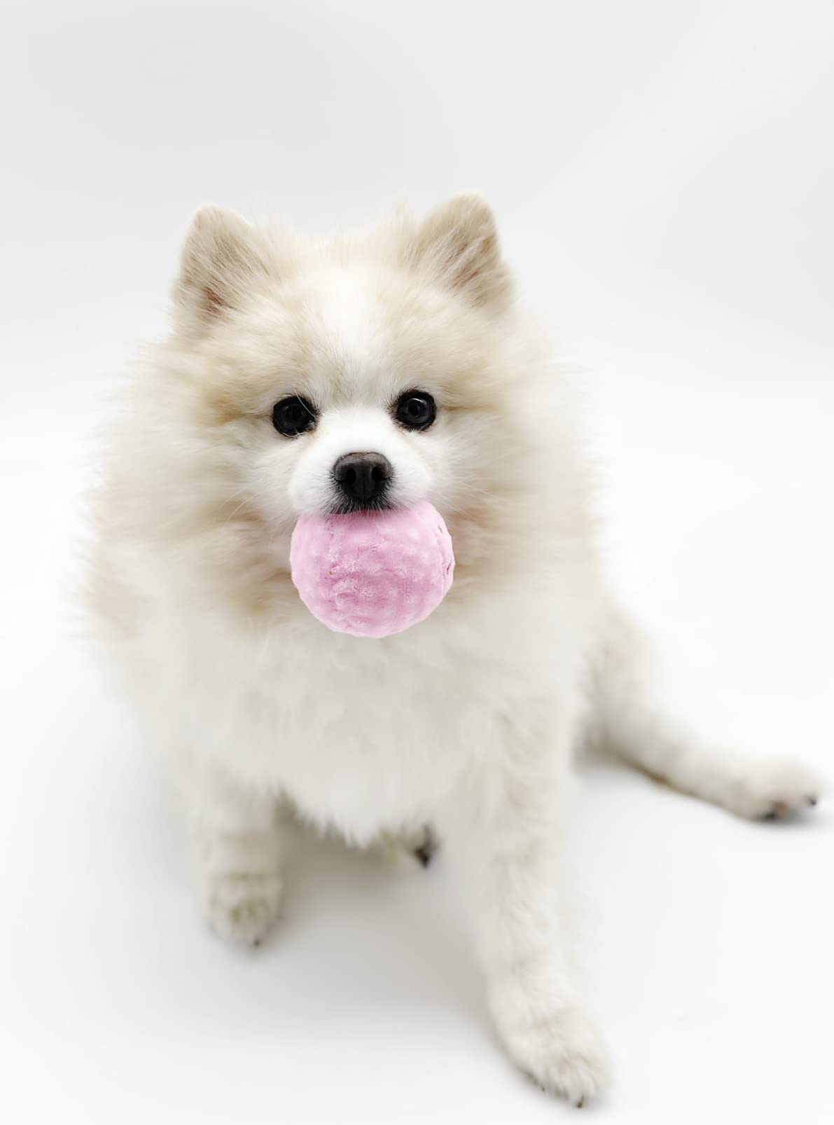 Ice Cream Bucket with 3 Scoops of Ice Cream and Squeaker - Dogs Chew Toy