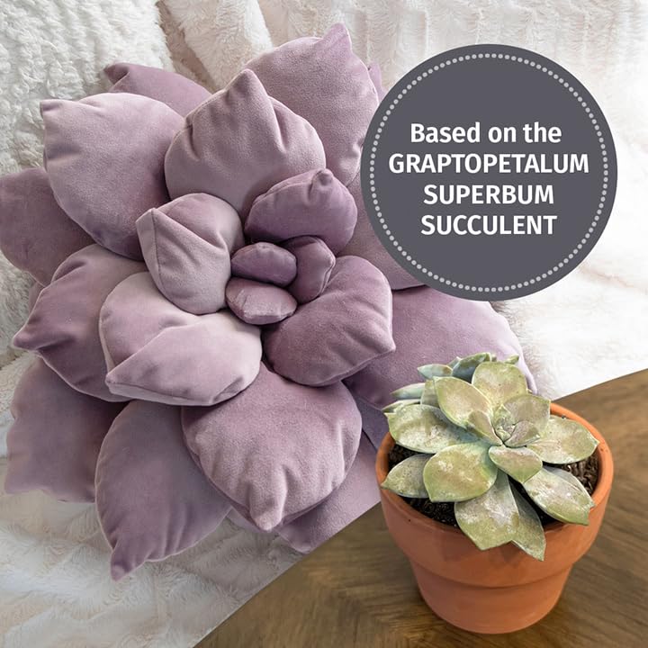 Graptopetalum Superbum Succulent Plush Pillow