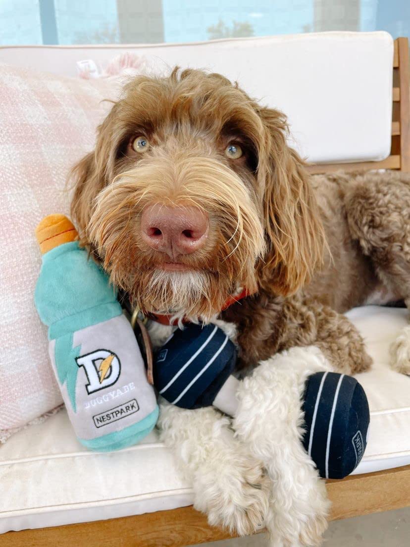 Doggyade and Doggy Dumbbell Fitness Set - Plush Dog Chew Toy