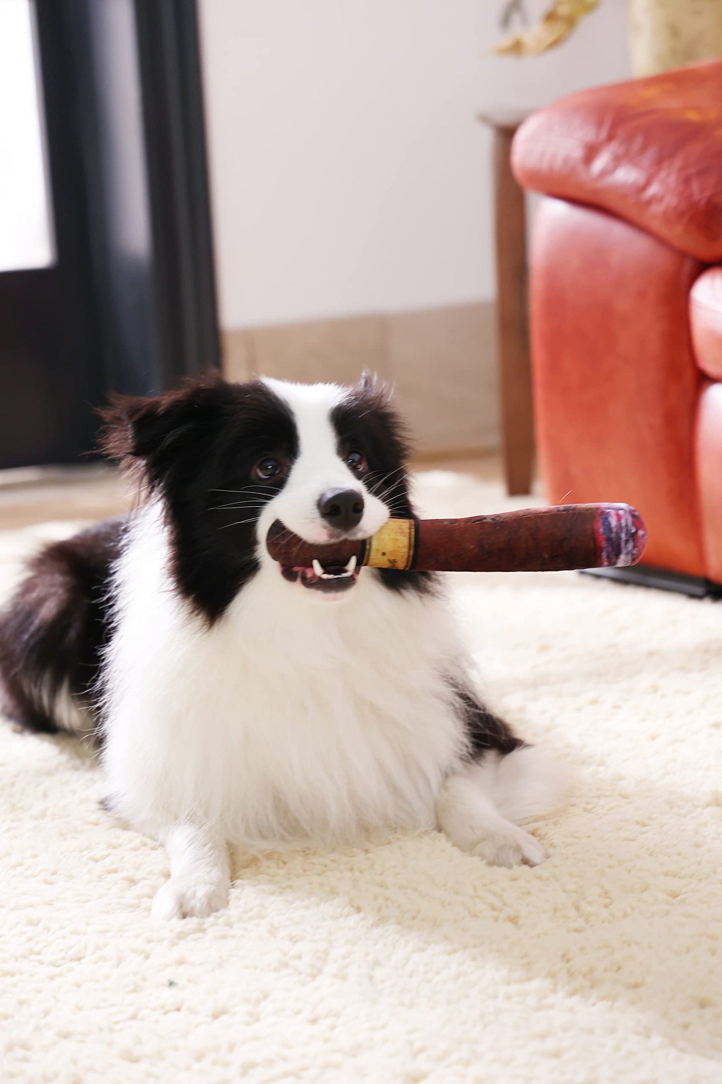 Squeaky Cigar - Plush Dog Chew Toy