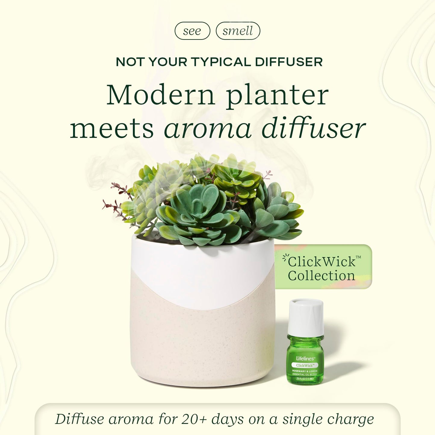 Essential Oil Diffuser with Succulent Plant Design