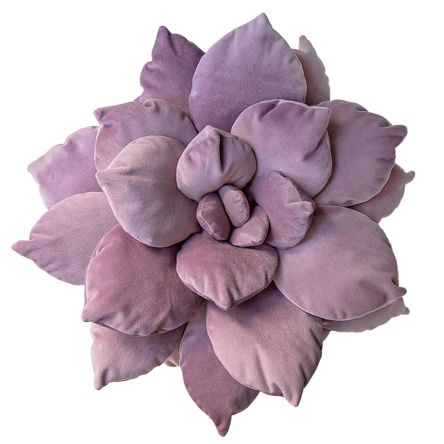 Graptopetalum Superbum Succulent Plush Pillow