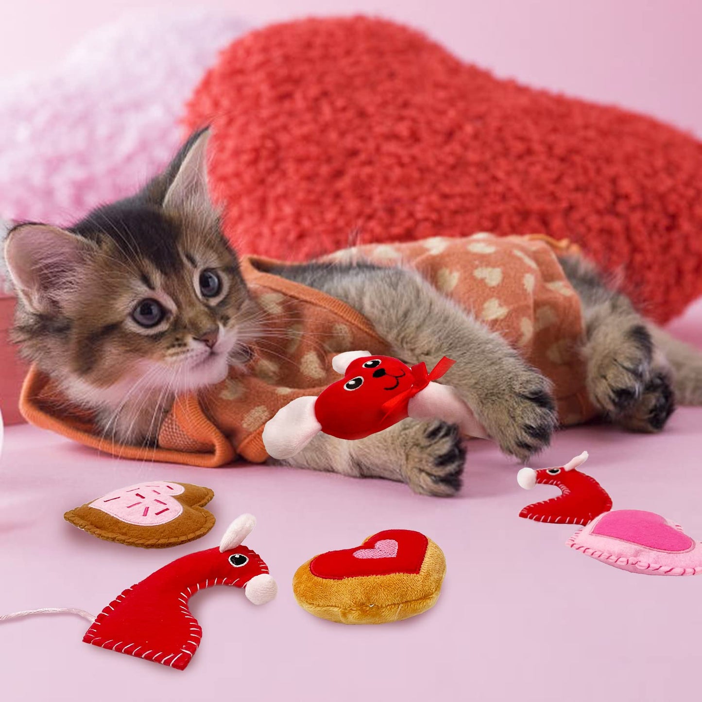Purr-fect Valentine’s Day Catnip Set
