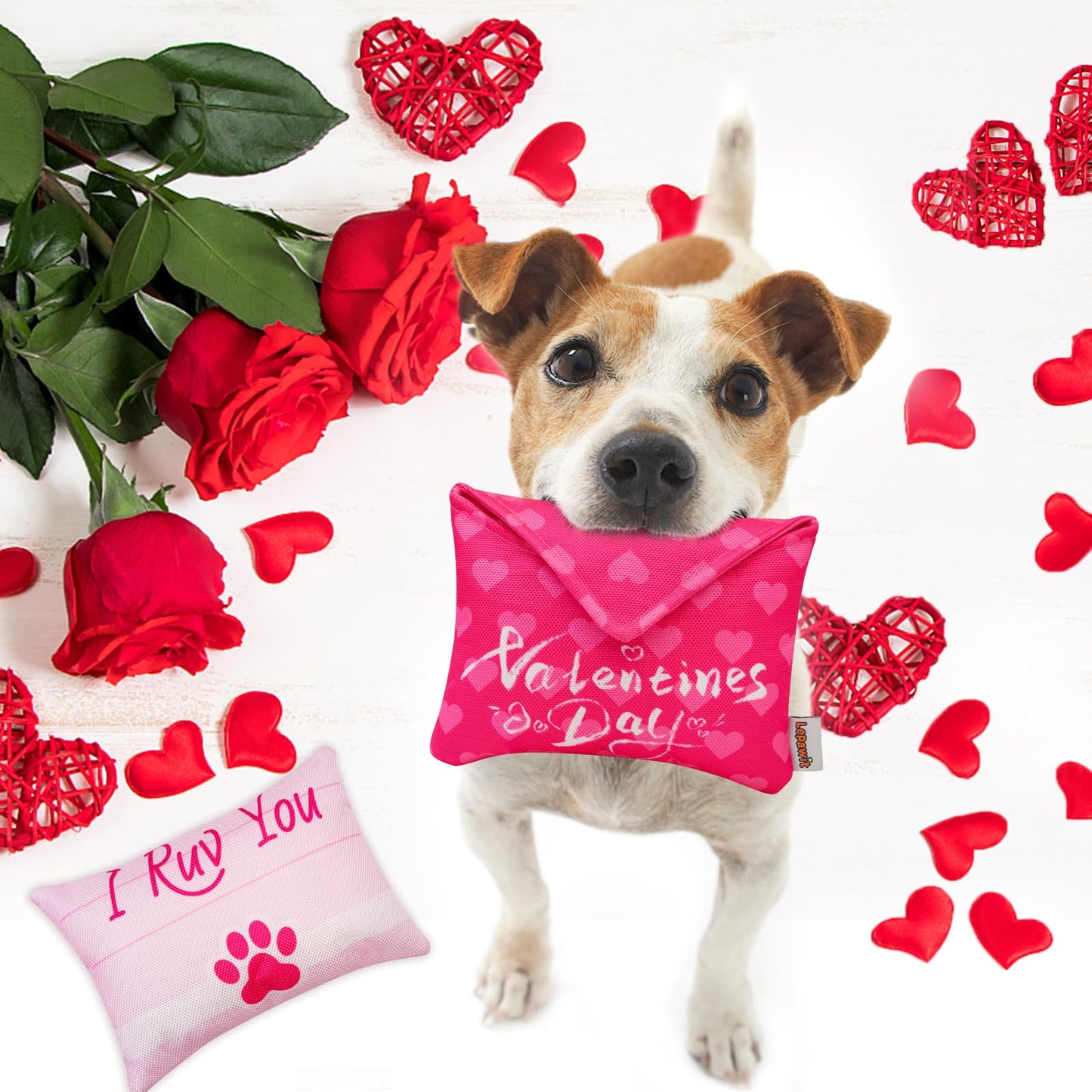 Valentine's Day Love Letter Dog Chew Toy