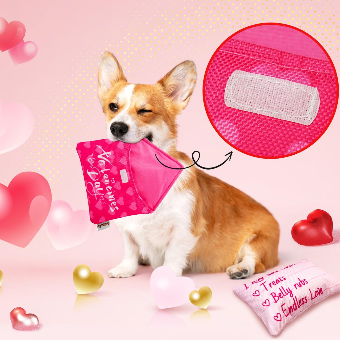 Valentine's Day Love Letter Dog Chew Toy