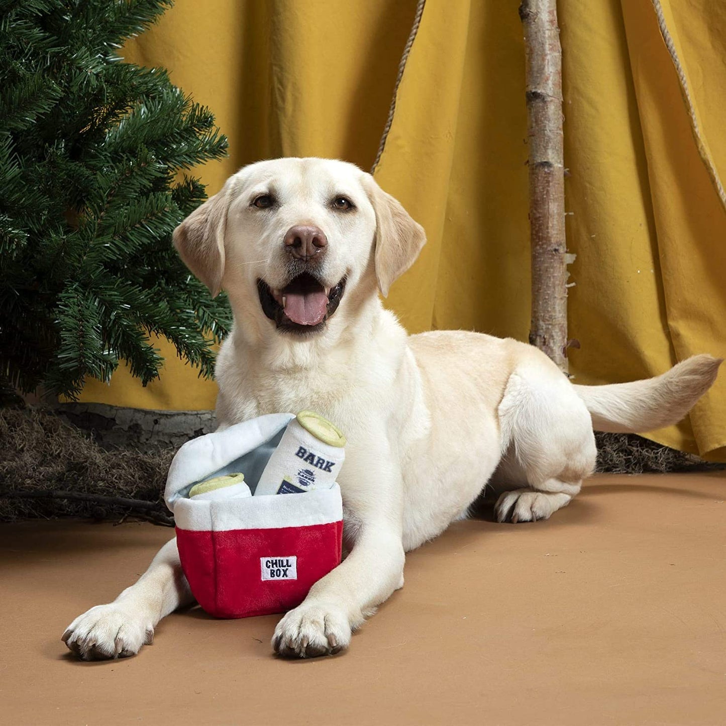 2-Pack Beer Case - Squeaky Dog Chew Toy