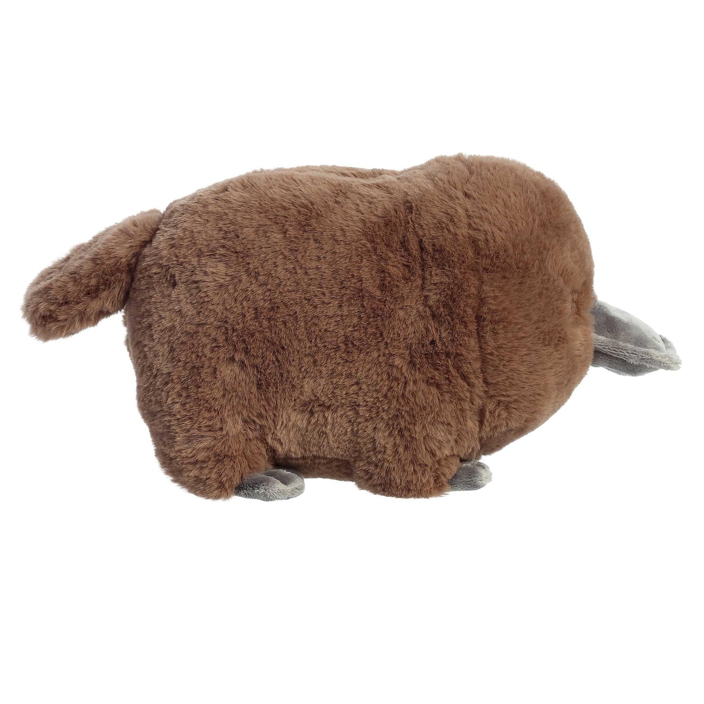Plush Platypus Stuffed Animal