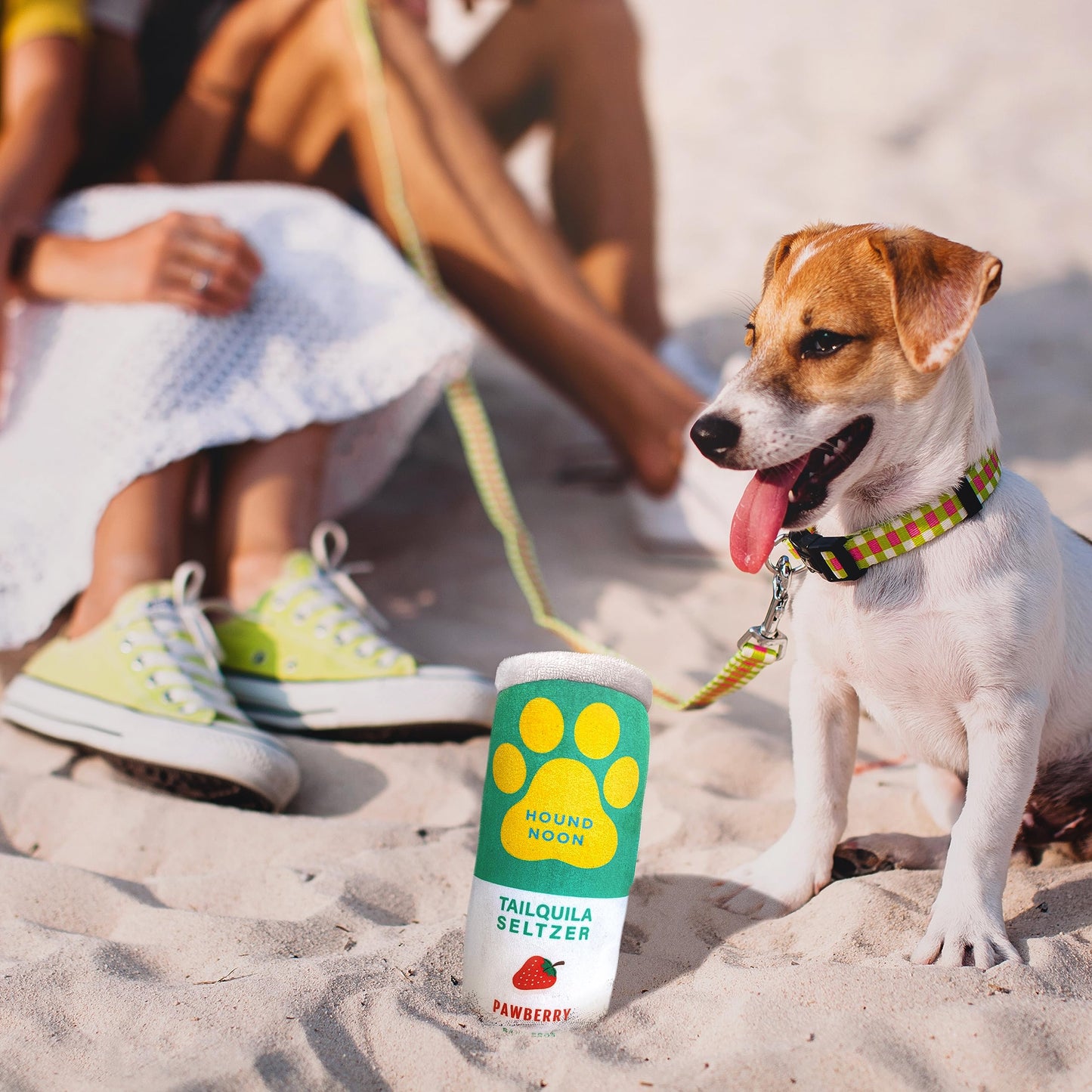 Hound Noon - Two Pack Plush Squeaky Dog Toy