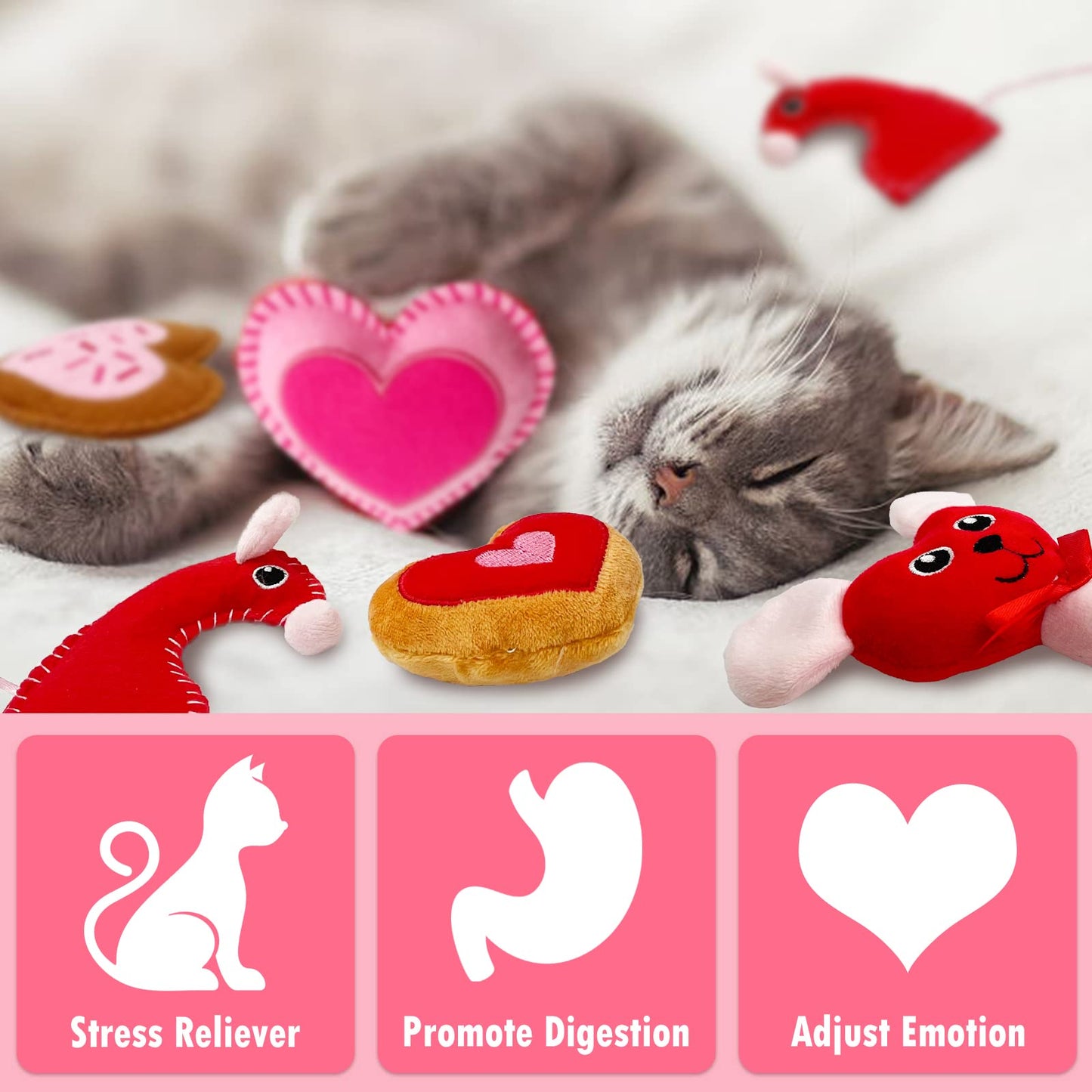 Purr-fect Valentine’s Day Catnip Set